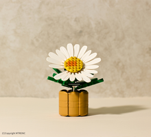 Load image into Gallery viewer, PEACEMINUSONE X OXFORD 818 BLOOM