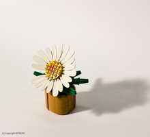 Load image into Gallery viewer, PEACEMINUSONE X OXFORD 818 BLOOM