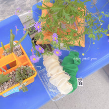 Load image into Gallery viewer, SECOND UNIQUE NAME Chiffon Gobull Ivory