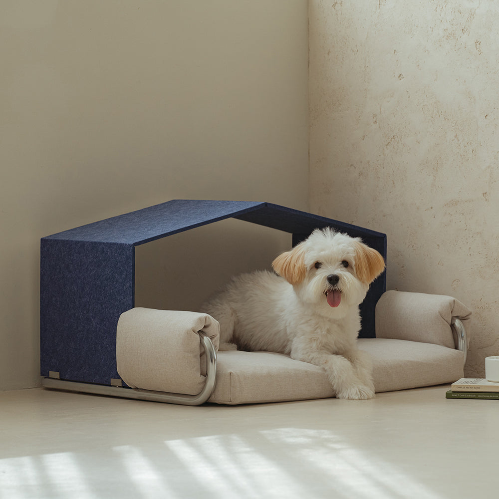 [WORLD HOME DOCTOR CORP] Dr.Friend Puppy Modern Sleep House