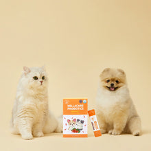 Load image into Gallery viewer, [PET FAM BIO] Nellacare Probiotics Antifat
