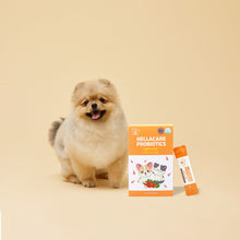 Load image into Gallery viewer, [PET FAM BIO] Nellacare Probiotics Antifat
