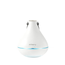 Load image into Gallery viewer, AIRBERRY Smart Clothing Care (Sterilization&amp;dehumidification) set
