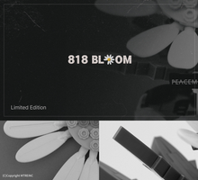 Load image into Gallery viewer, PEACEMINUSONE X OXFORD 818 BLOOM

